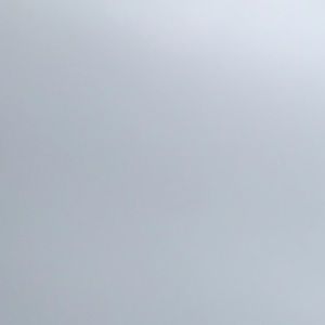 Meet your Posher, Ally